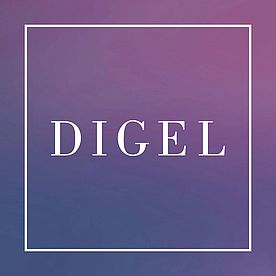 digel-fhx0q4xhf-29112024115340.jpg