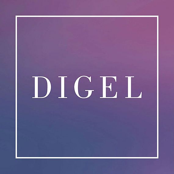 digel-fhx0q4xhf-29112024115340.jpg